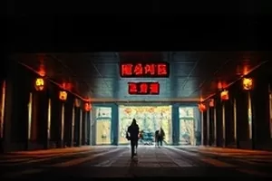 《白露为霜》清晨草叶结霜特写剧照